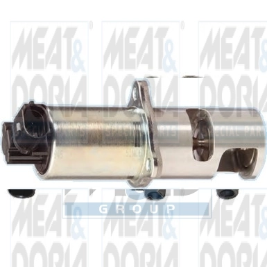 EGR Valve